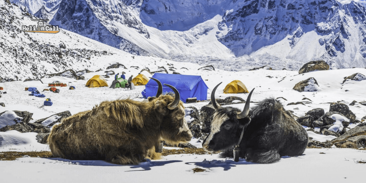 Major Attraction on Everest Region