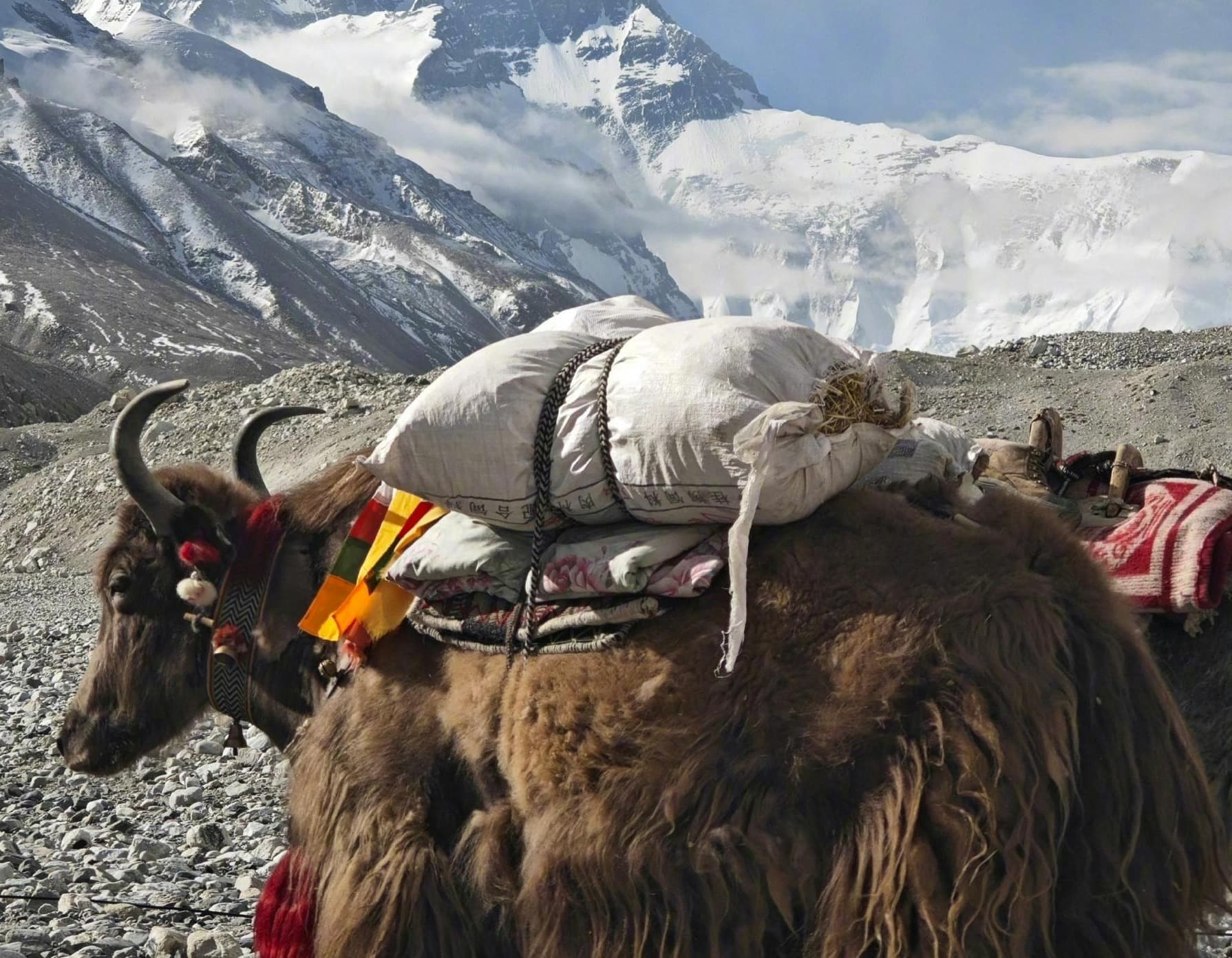 Himalayan Helicopter Tours Nepal